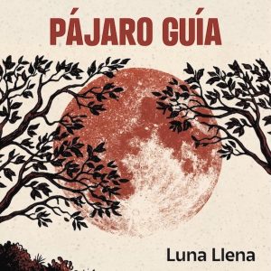 Pájaro Guía sacan en Wild Punk Records su nuevo single ‘Luna Llena’